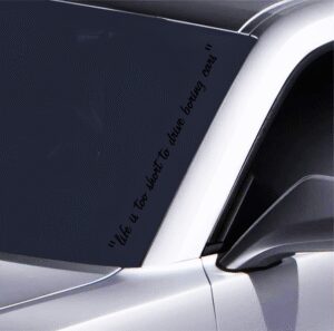 Winterbitch Autoaufkleber wetterfest, konturgeschnitten