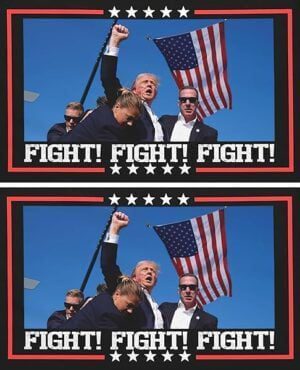 Donald Trump Aufkleber 2er Set 9x15 cm wetterfest